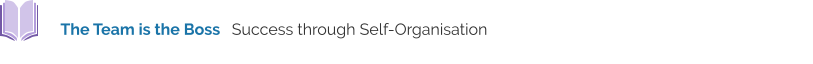 The Team is the Boss   Success through Self-Organisation