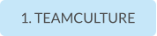 1. TEAMCULTURE