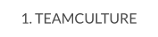 1. TEAMCULTURE