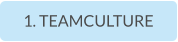 1. TEAMCULTURE