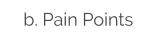 b. Pain Points