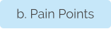 b. Pain Points