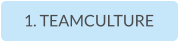 1. TEAMCULTURE