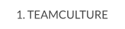 1. TEAMCULTURE